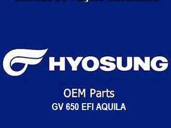 CATALOGO PEÇAS GV 650 EFI AQUILA